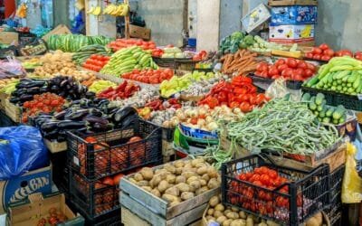 Guía Gastronómica del Cáucaso: Platos y Bebidas Típicos