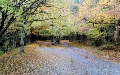 Aventura en el Cáucaso: Rutas de Senderismo Más Populares