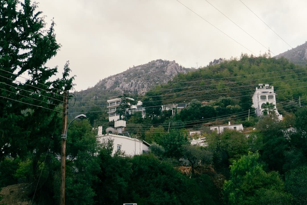 Buildings nestled on a lush, green hillside under mountains.